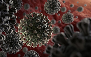 Coronavirus under microscope graphic