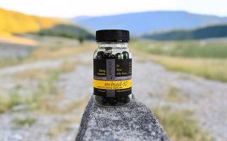 50mg capsules bottle on Rock