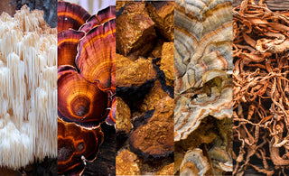 Lyons Mane, Reishi, Chaga, Turkey Tail and Cordyceps Mushrooms