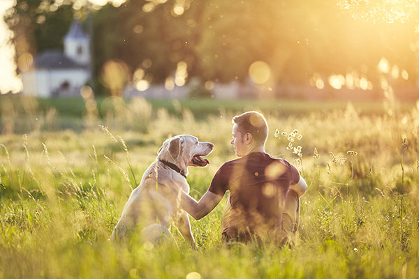 Man and his Dog sitting in a field