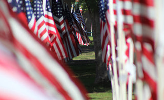 Veterans Day Flags