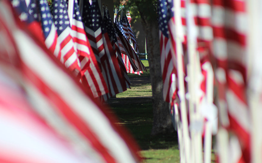 Veterans Day Flags