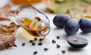 grape seeds and grapeseed oil