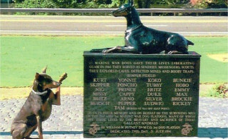 Doberman Soluting at a Doberman War Memorial