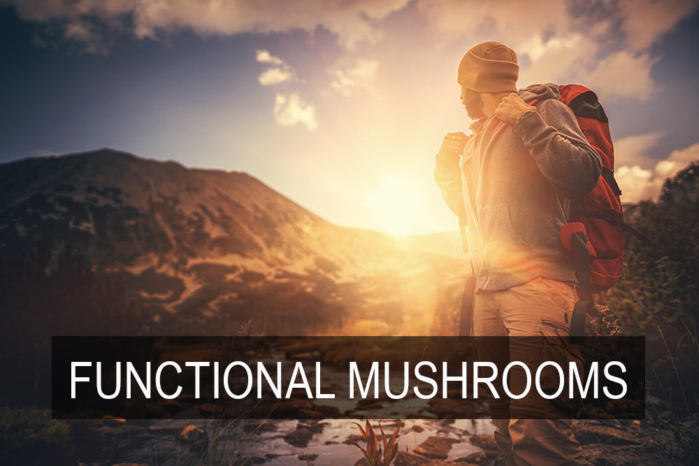 Imbue Functional Mushrooms