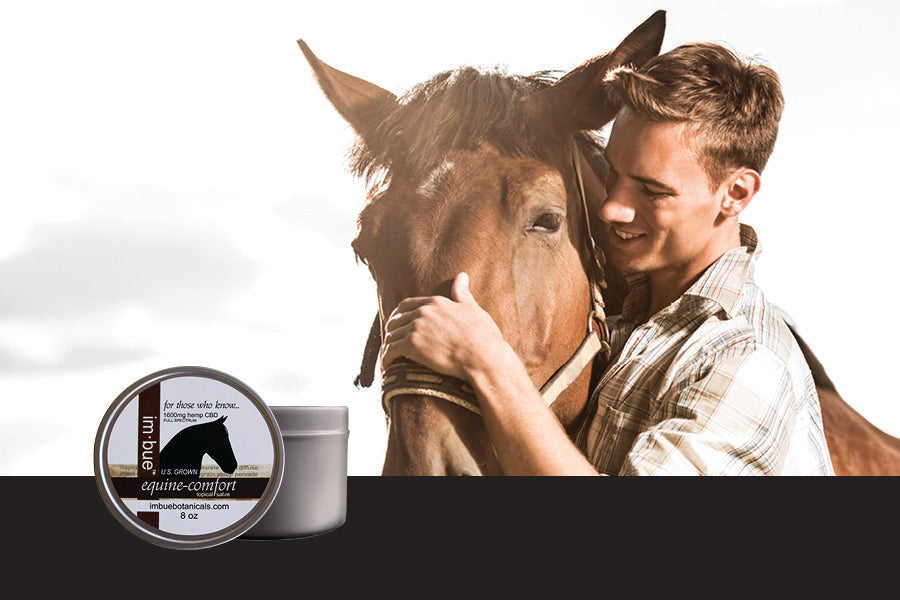 1600mg CBD Horse salve inset over a young man with his horse outside