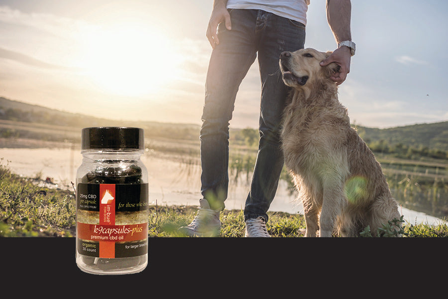 25mg CBD pet capsule bottle inset over a man and his dog at sunset near a lake