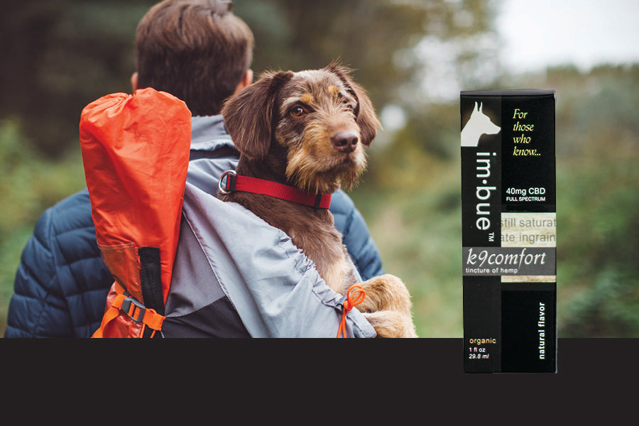 40ng CBD pet tincture inset over a man hiking with his adorable dog in his backpack