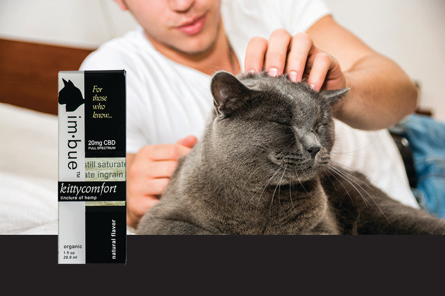 20mg CBD Pet tincture inset over a man scratching the head of his pet cat