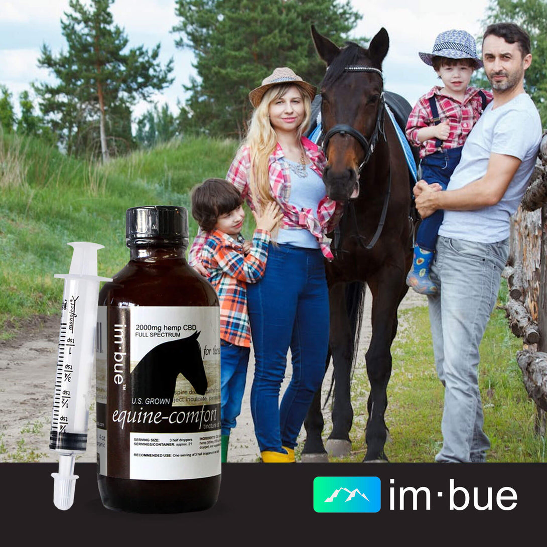 cbd for horses