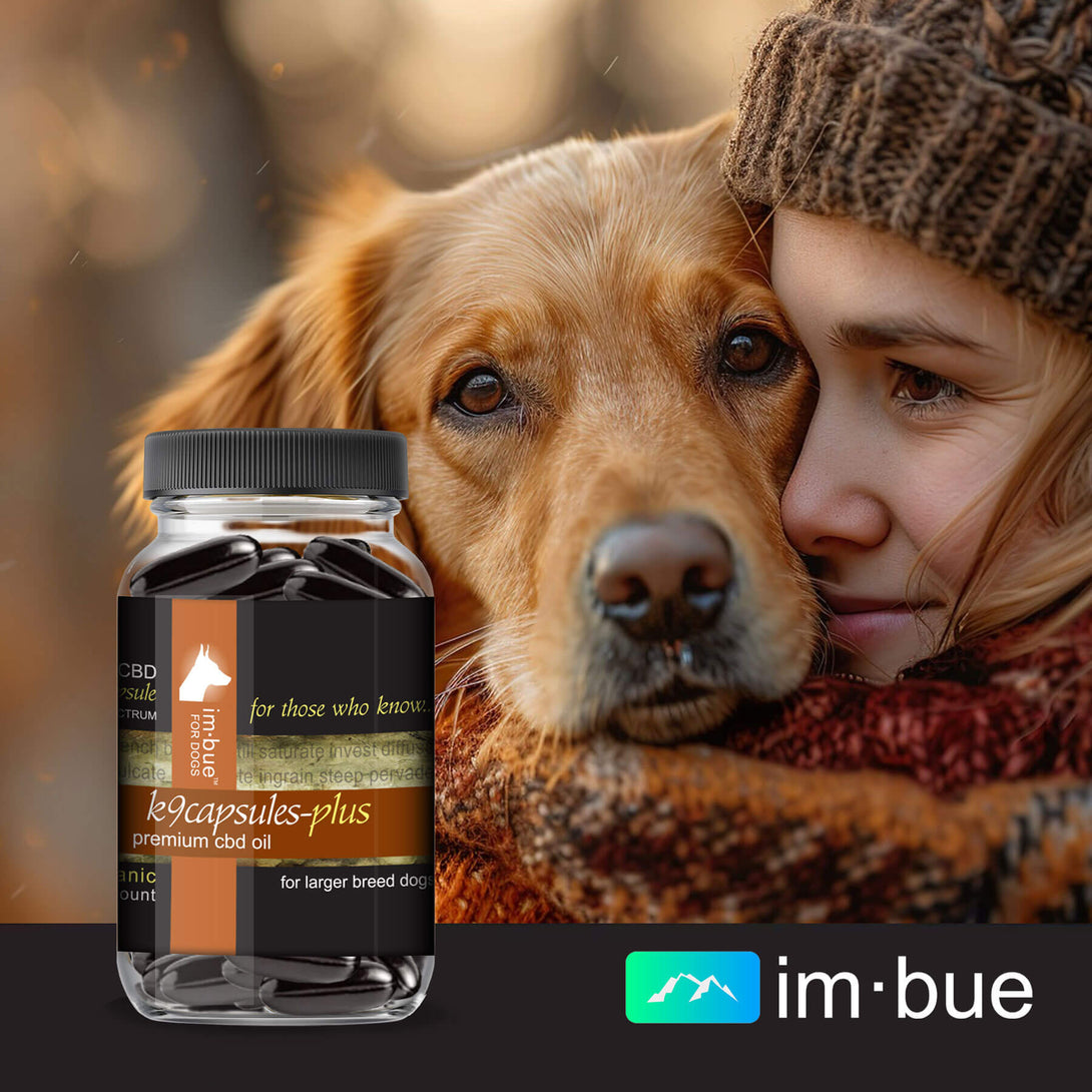 cbd oil for pets