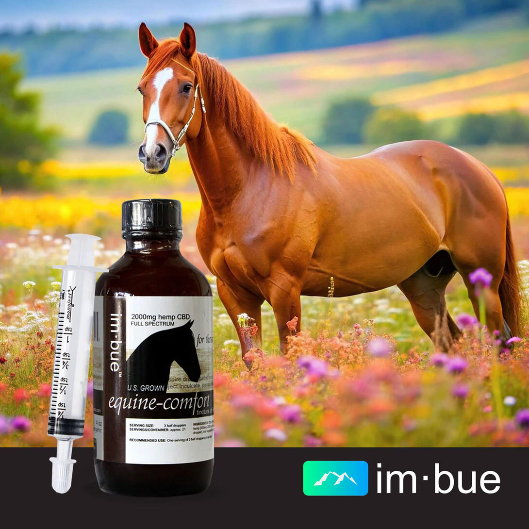 horses cbd full spectrum