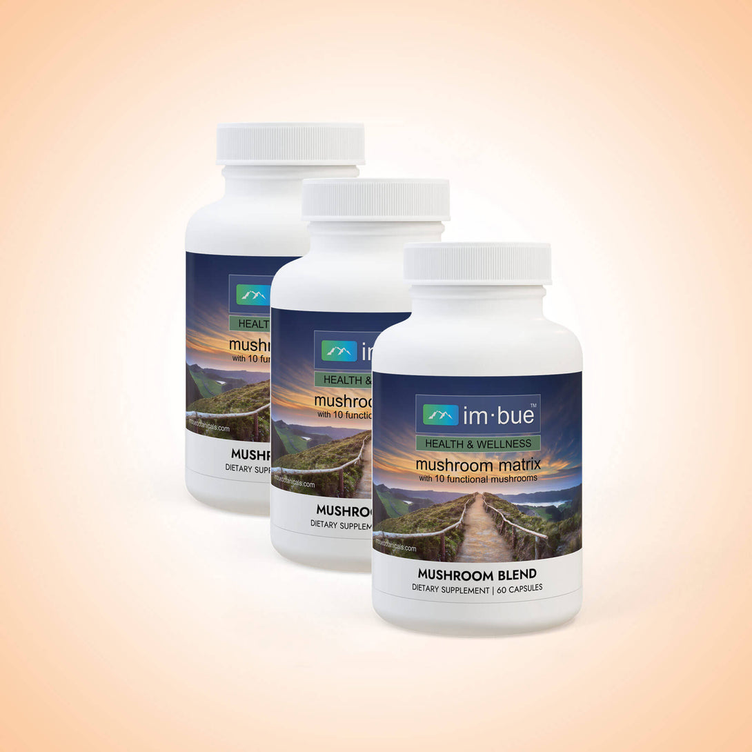 mushroom extract supplements