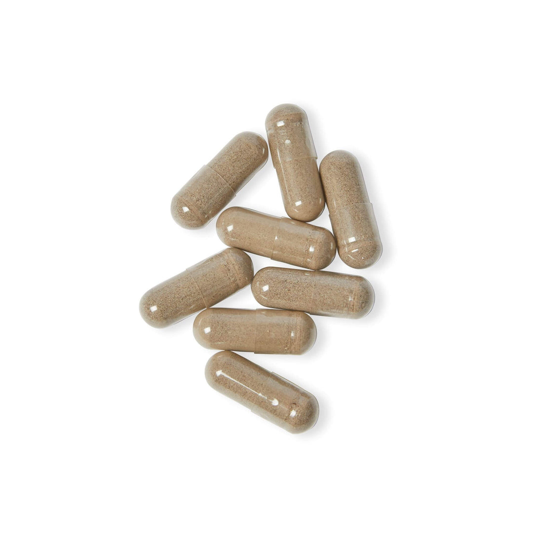 what is sea moss